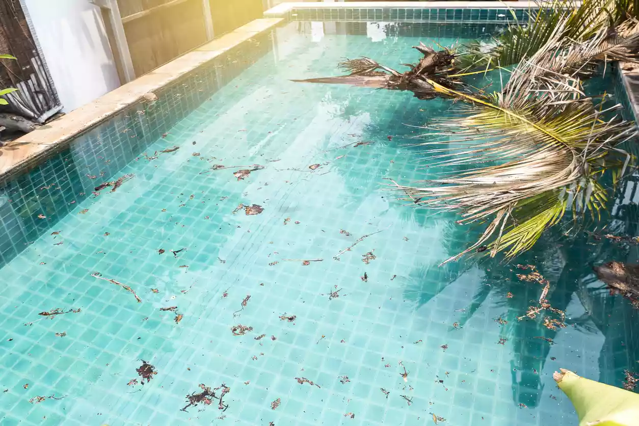 American Pacific Pool Services